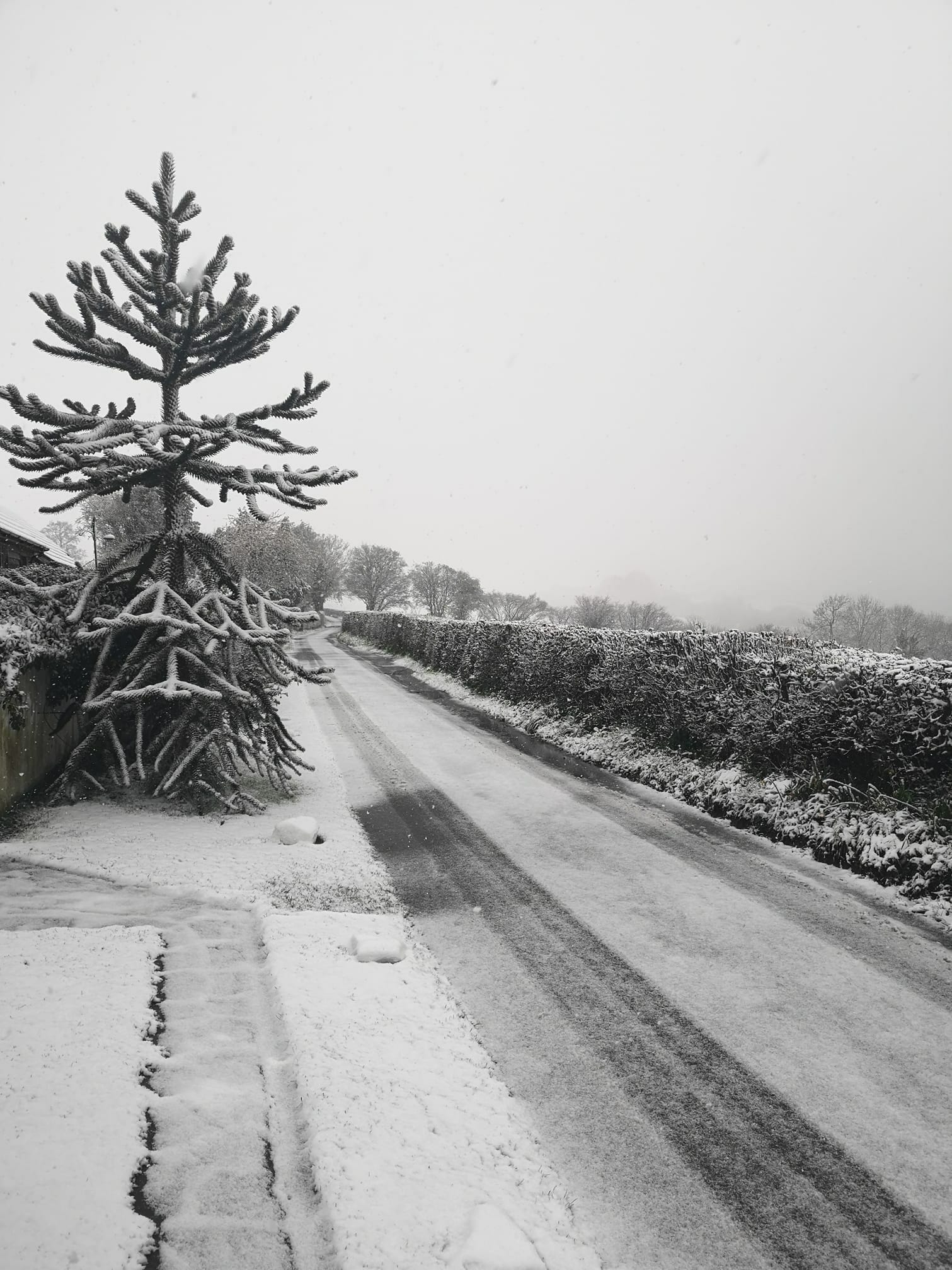 NEWS | Snow affects parts of Herefordshire