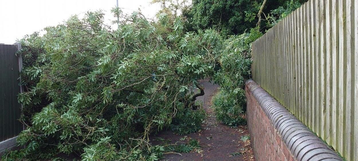 NEWS | Fallen tree blocks popular cycle route after heavy rain and strong winds