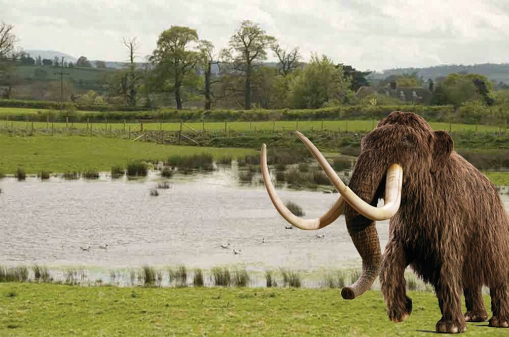 FEATURED | Funding to restore and explore Herefordshire’s Ice Age kettle hole ponds confirmed