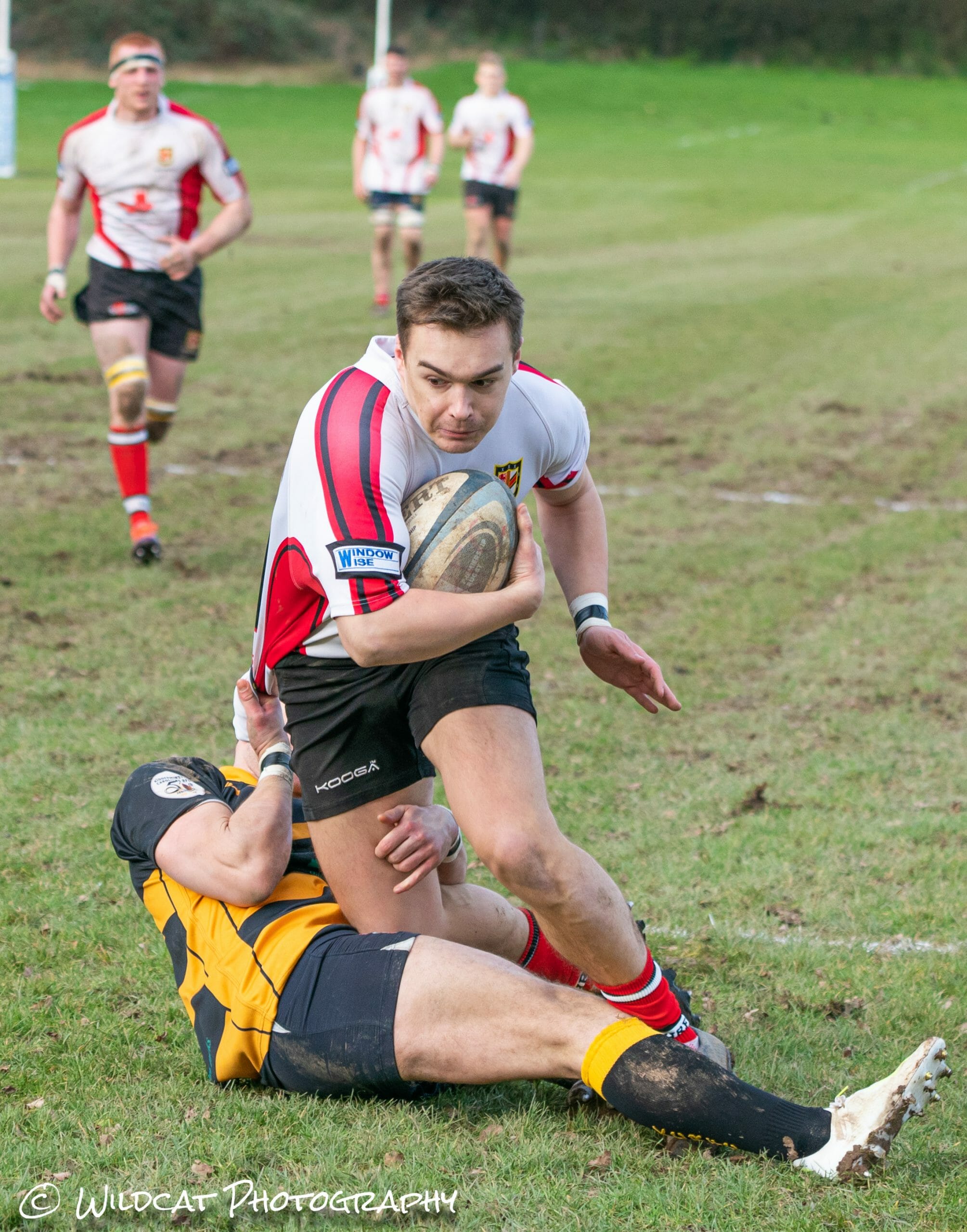 RUGBY | Hereford return to winning ways with convincing victory