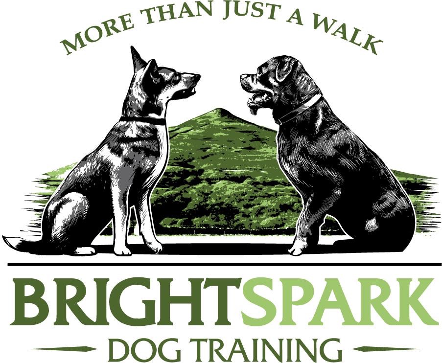 BUSINESS | Brightspark Dog Training