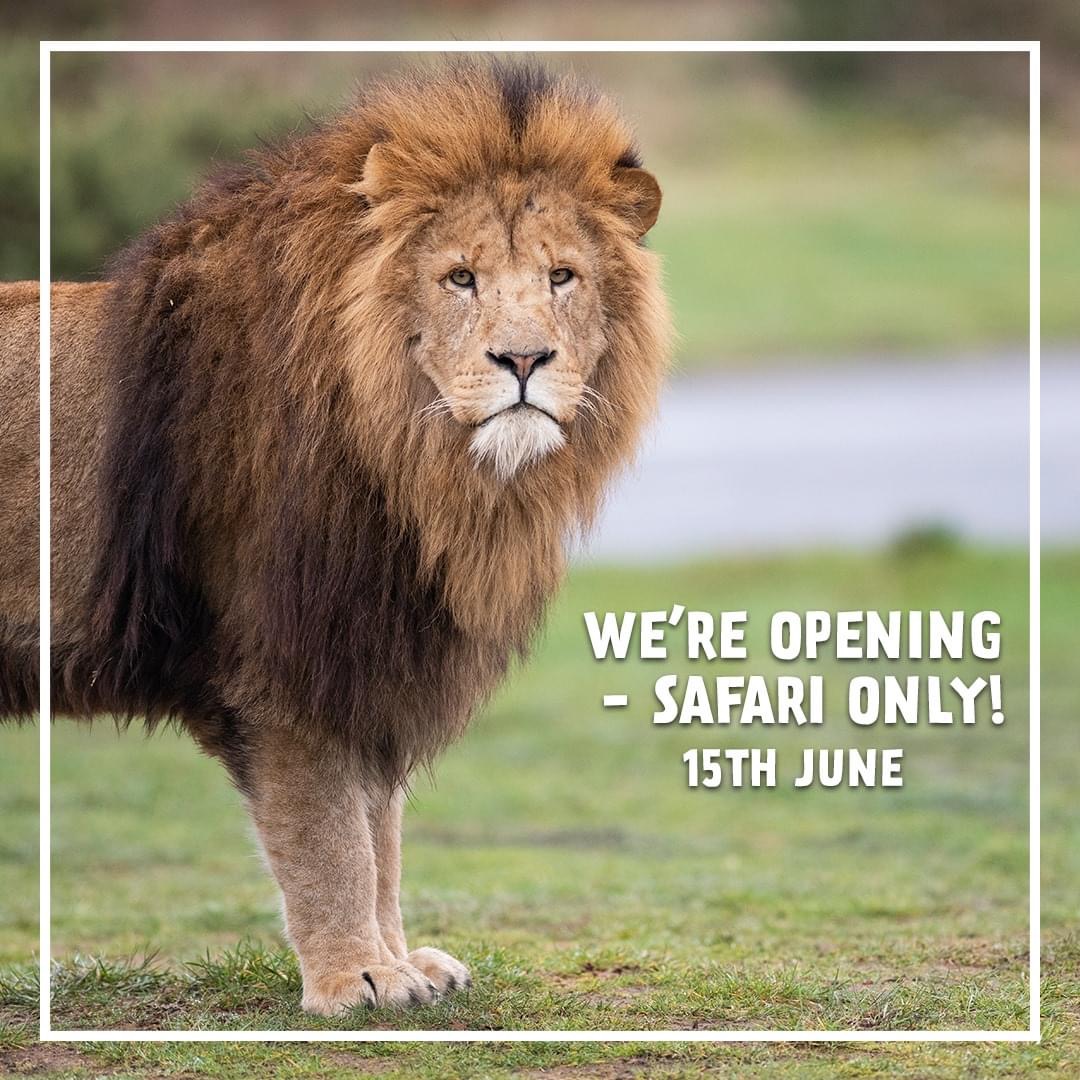 NEWS | West Midland Safari Park to partially reopen from Monday
