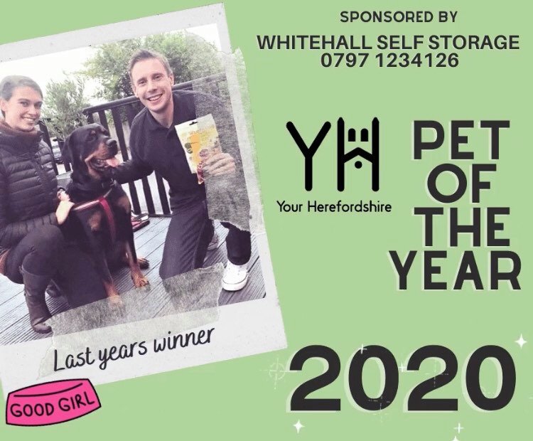 PET COMPETITION | Winner of Your Herefordshire Dog of the Year is revealed