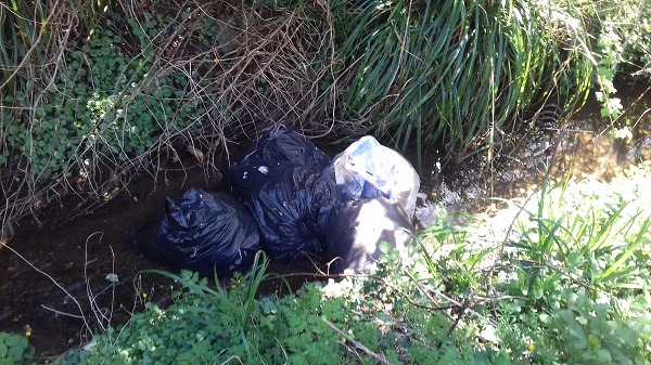 NEWS | Resident fined for waste found fly tipped in Newton Brook in Hereford