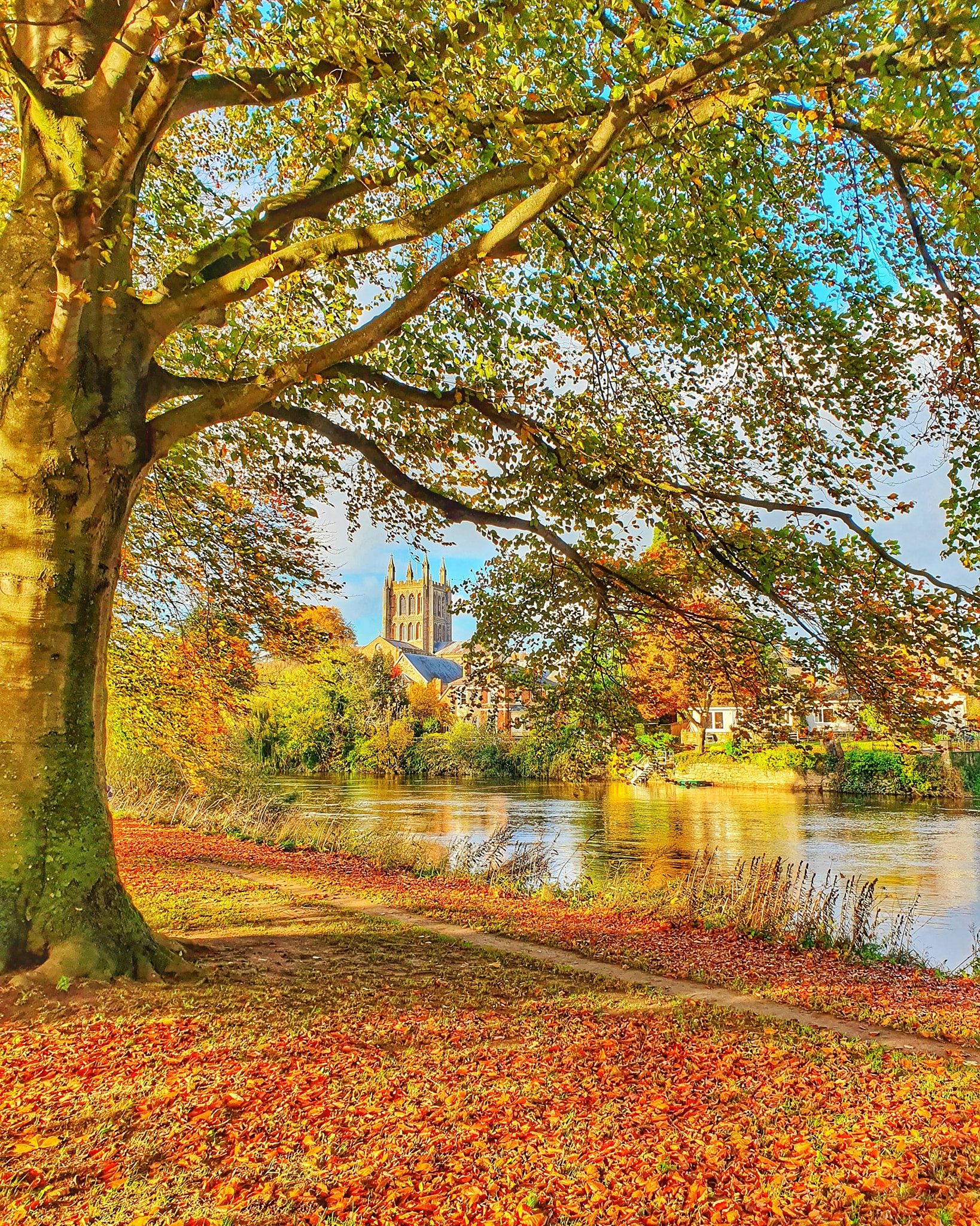 PHOTOS | Your stunning pics of autumn across Herefordshire