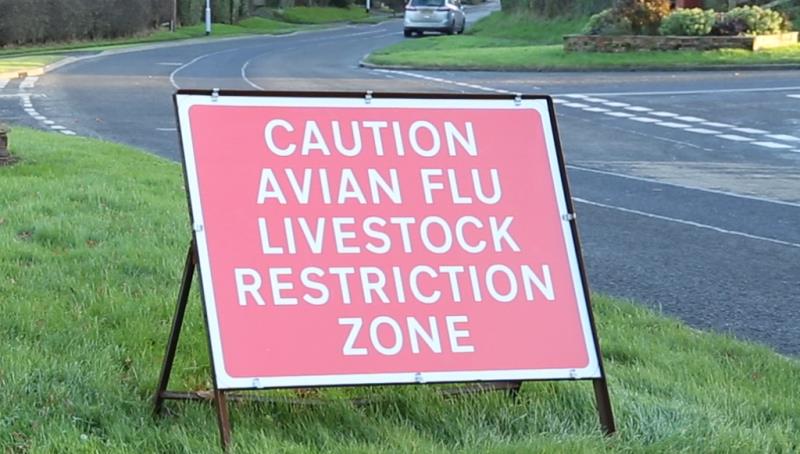 NEWS | Avian Flu: Legal requirement for all bird keepers to keep their birds indoors from 14th December