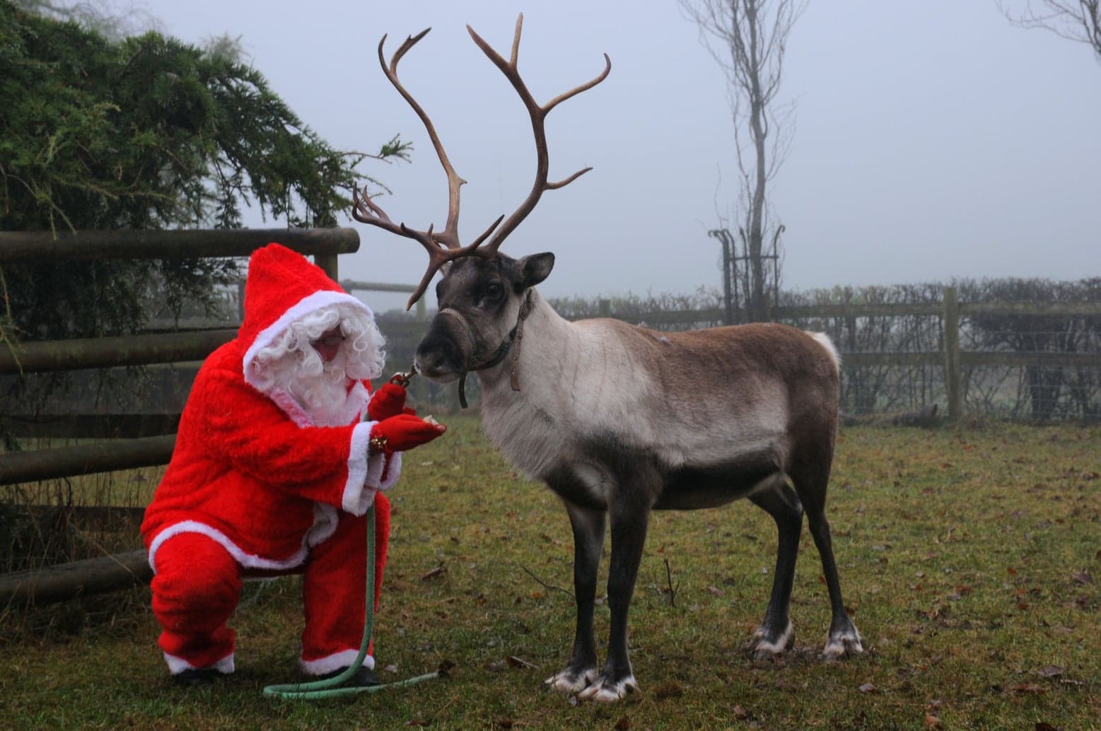 FEATURED | Lockdown lifted and Santa has arrived in Kington!