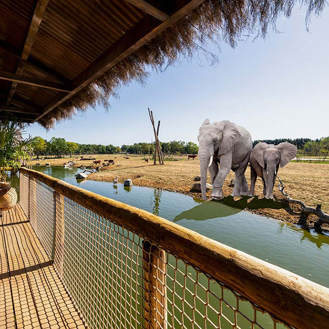 NEWS | West Midlands Safari Park offers VIP Safari Lodges experience