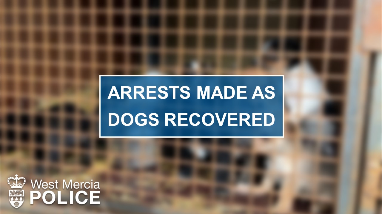 NEWS | Four arrested and 44 dogs recovered following report of suspicious activity