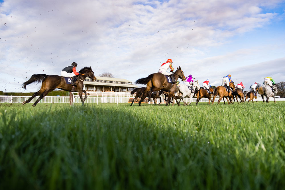 SPORT | Excitement builds as racing fans can return to Hereford Racecourse this December
