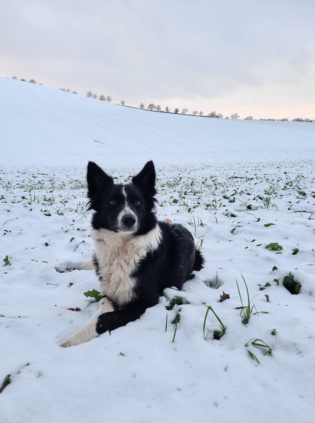 NEWS | Snow, ice and bitterly cold easterly winds – Read what forecasters are predicting for next week