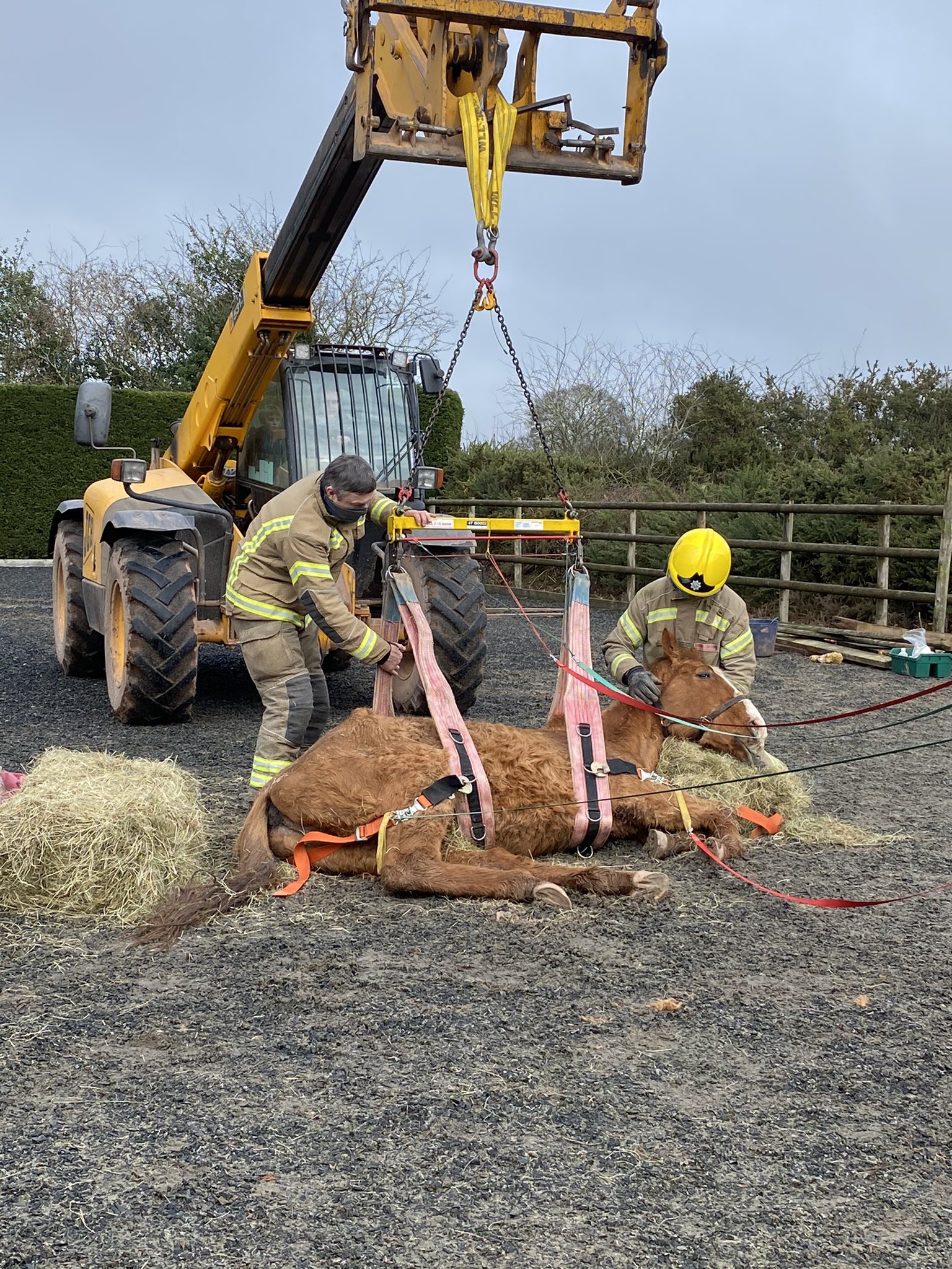 NEWS | Fire crews help rescue horse that had got stuck in a ditch in Herefordshire