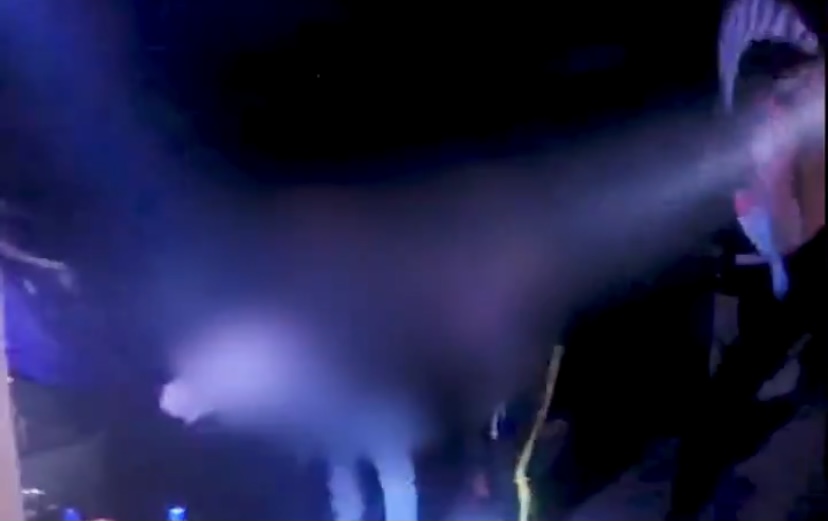 VIDEO | Unbelievable! The moment West Midlands Police found 150 people at illegal nightclub
