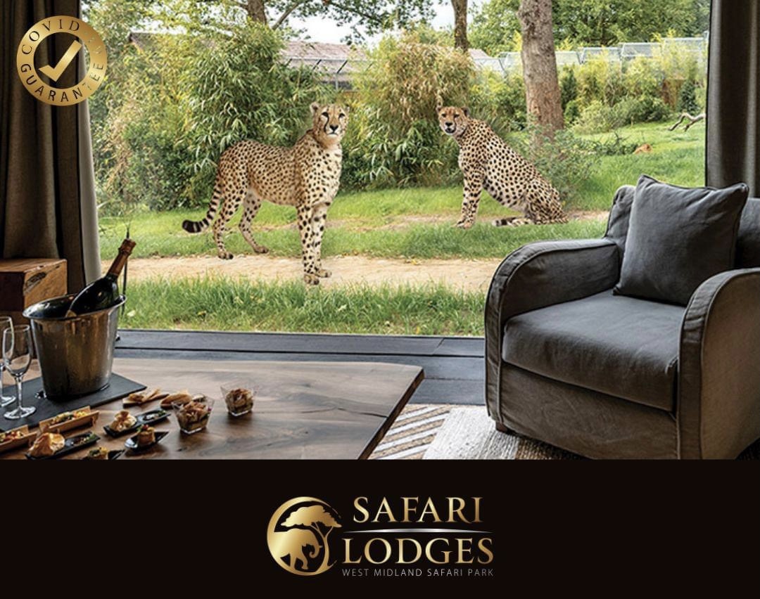 FEATURED | West Midland Safari Park Lodges to open from April – BOOK NOW!