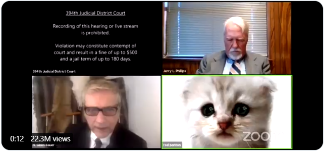 VIDEO | ”I’m here live, I’m not a cat!” – says Lawyer after Zoom meeting mishap