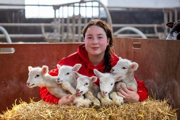 NEWS | One-in-a-million quintuplet lambs born at Hartpury
