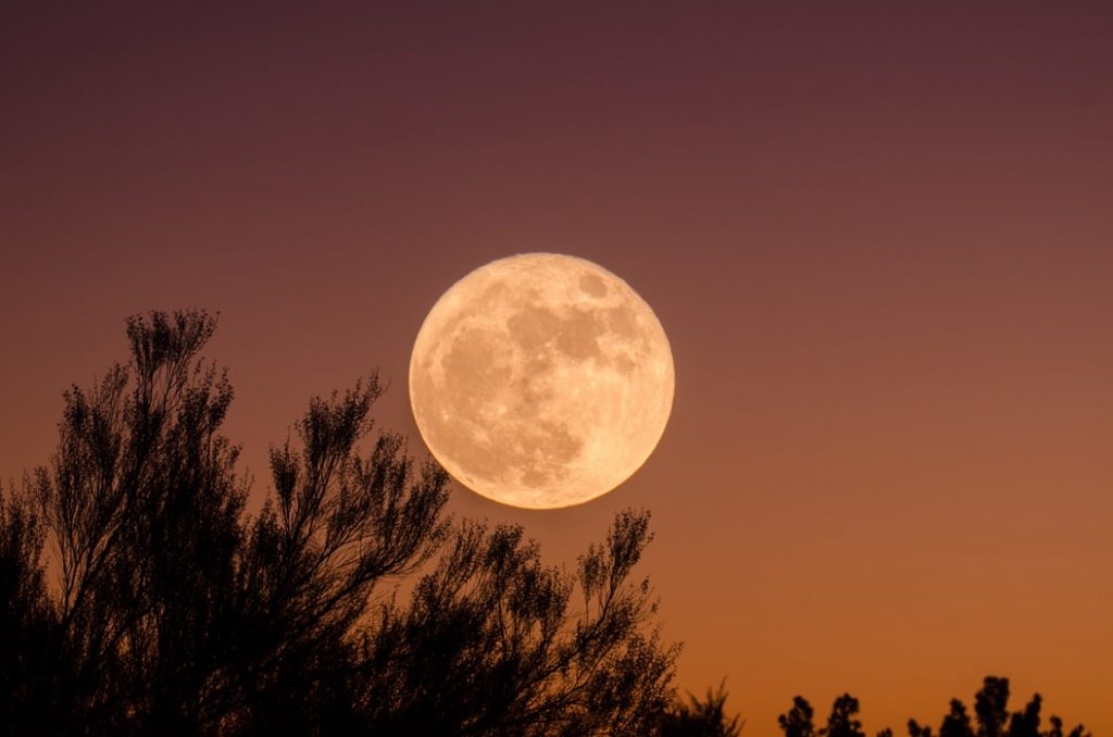 NEWS | The ‘Super Worm Moon’ is coming tonight and this is how you can see it