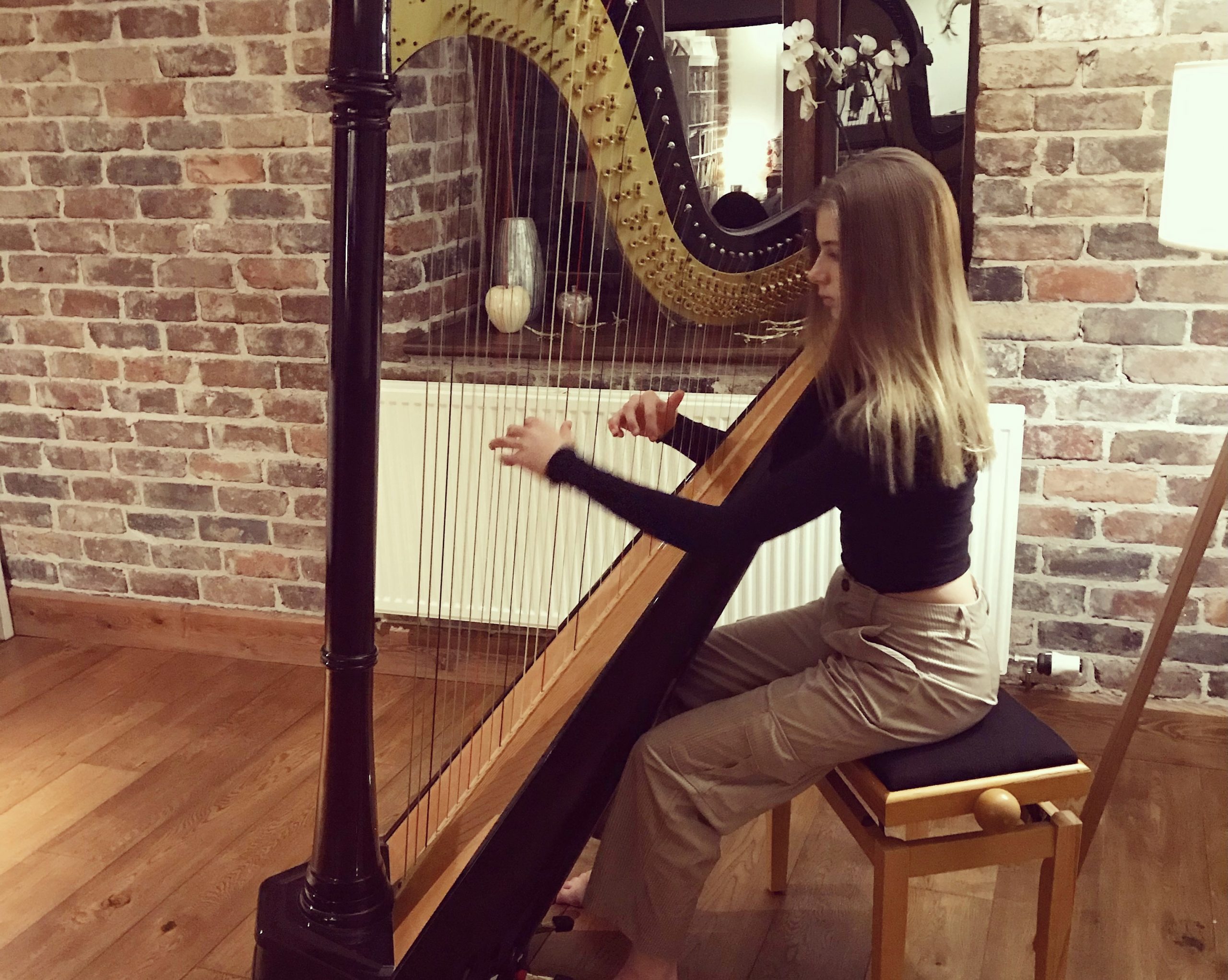 NEWS | Young Herefordshire harpist takes second spot in regional music event