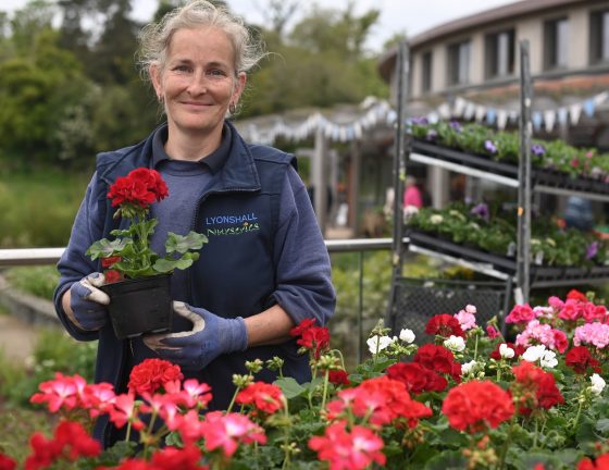 WHAT’S ON? | Horticultural favourites return to St Michael’s Hospice for 2021