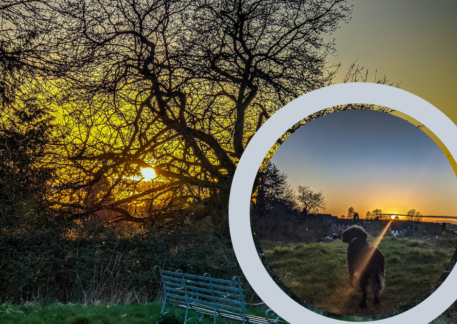 GALLERY | A selection of spectacular photos of the sunset yesterday in Herefordshire