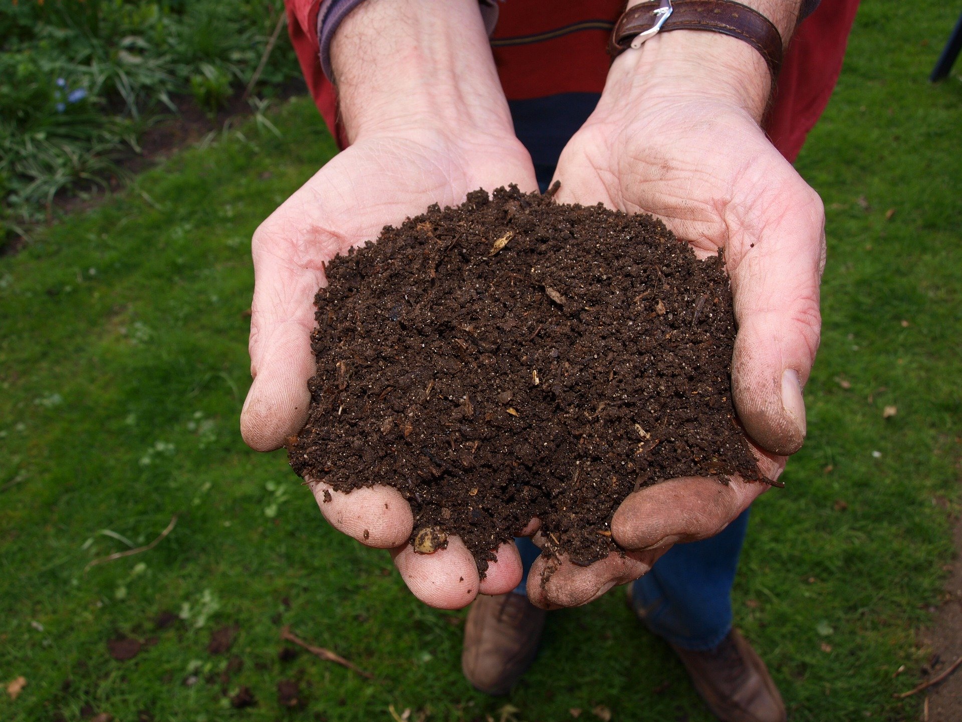 INFO | Some interesting information about garden waste and composting in Herefordshire