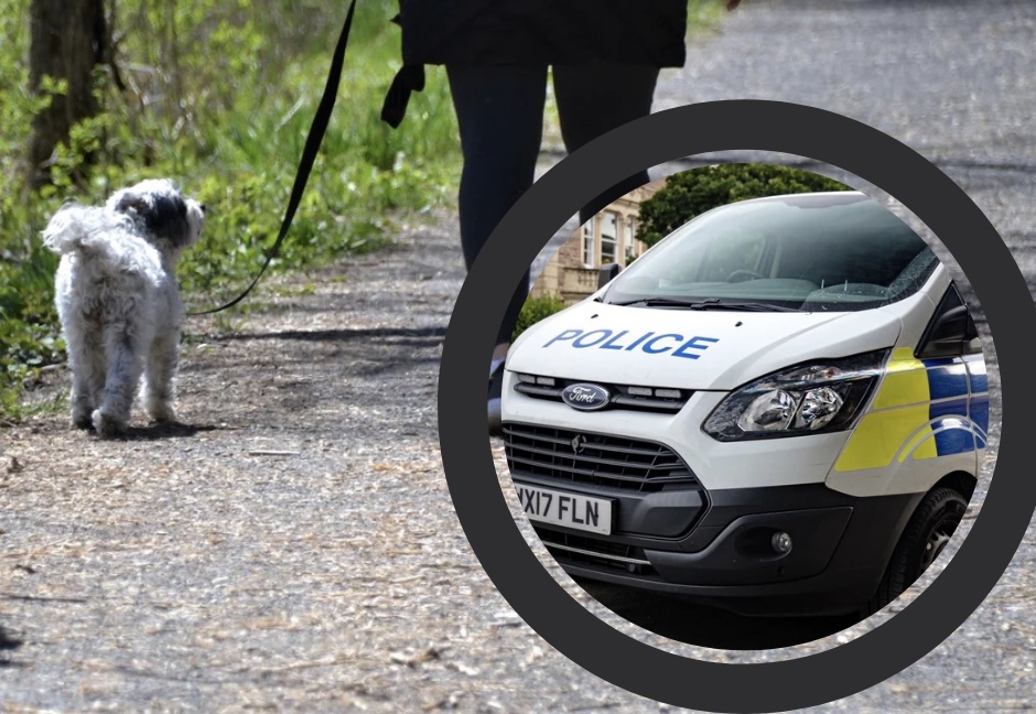 NEWS | Dog walker reports suspicious activity in Herefordshire woodland