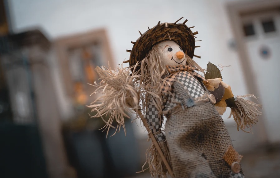 COMMUNITY | Herefordshire Village set to launch Scarecrow Trail