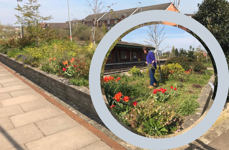NEWS | Flower beds provide a colourful welcome to those visiting Hereford by train