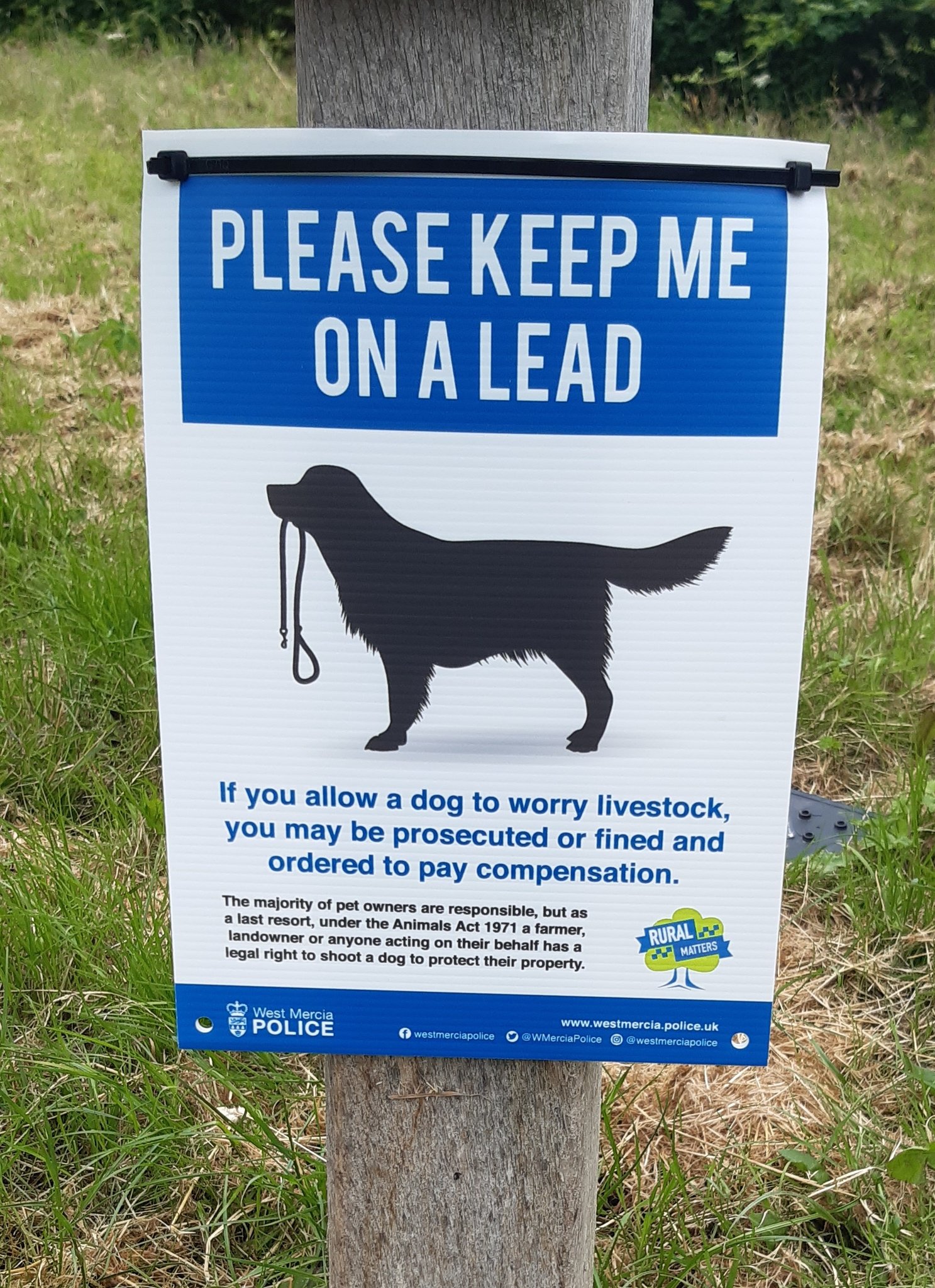 NEWS | Police issue warning to people that walk their dogs in Herefordshire