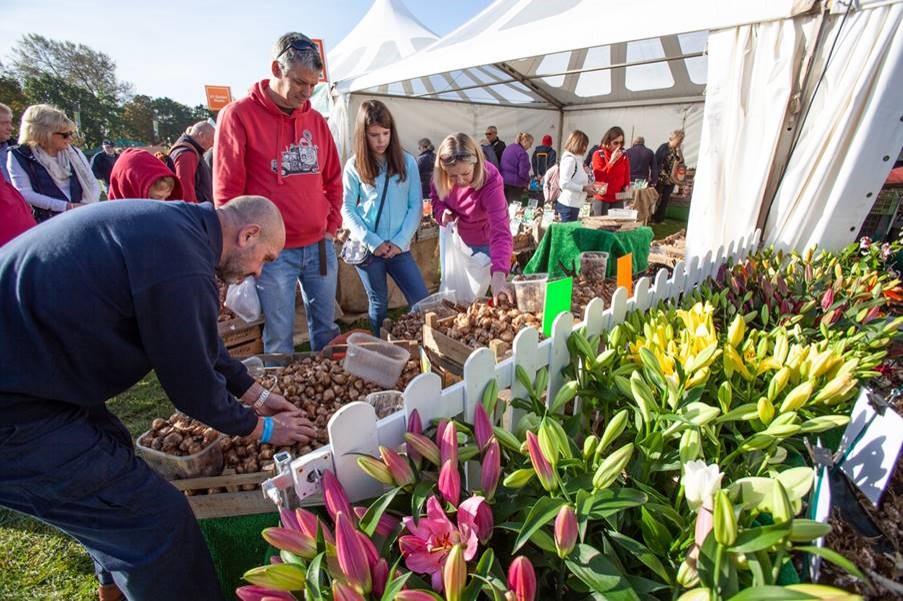 WHAT’S ON? | RHS Flower Show to wow at Malvern Autumn Show