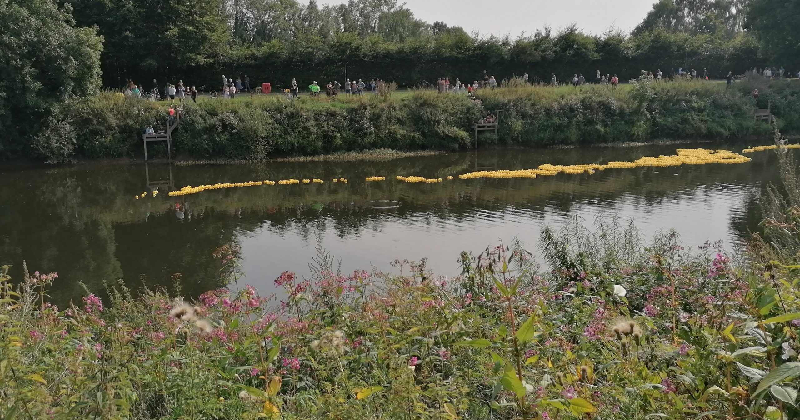 NEWS | City of Hereford Rotary Club’s Duck Race raises nearly £13,000 for local and international charities