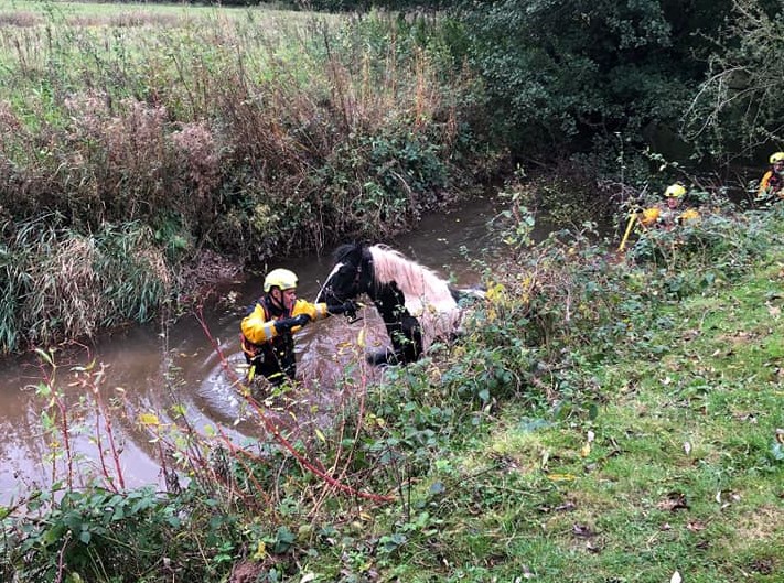 NEWS | Heroics of fire crews saved horse from deep water in Herefordshire today