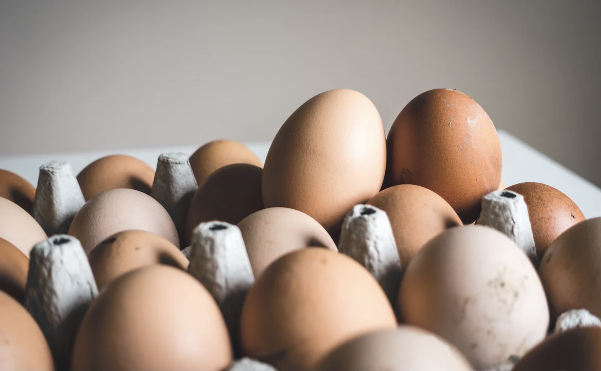 NEWS | Police issue an appeal after eggs were thrown at properties in a market town