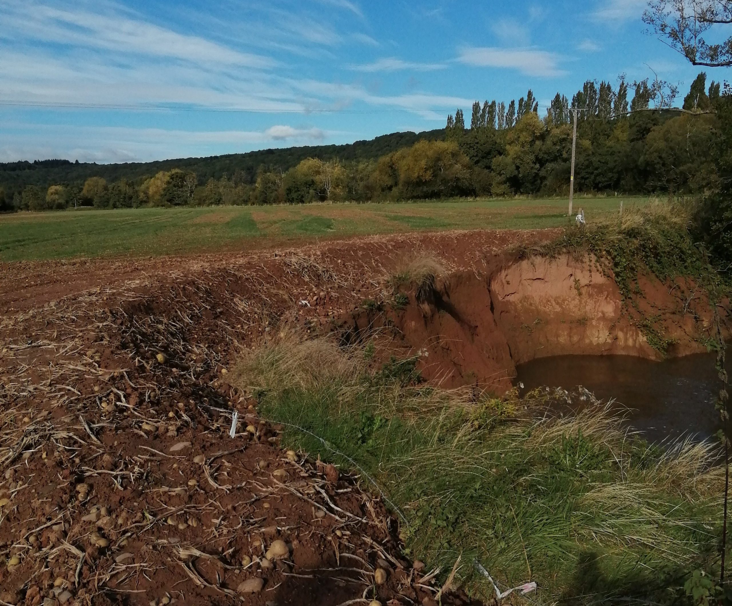 NEWS | Herefordshire Wildlife Trust reports incident involving potato waste being dumped on the banks of the River Lugg