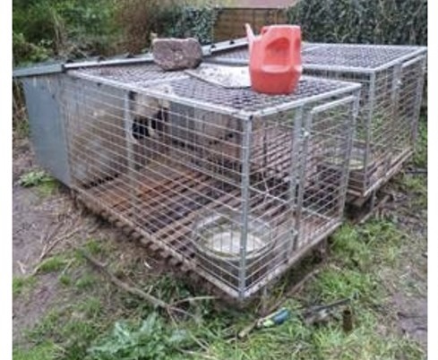 NEWS | Forest of Dean District Council has prosecuted an individual for offences relating to the Animal Welfare Act 2006
