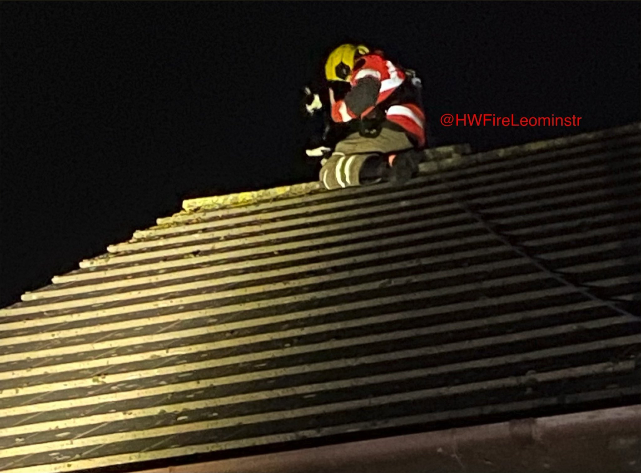 NEWS | Fire crews rescue cat from a roof in Leominster