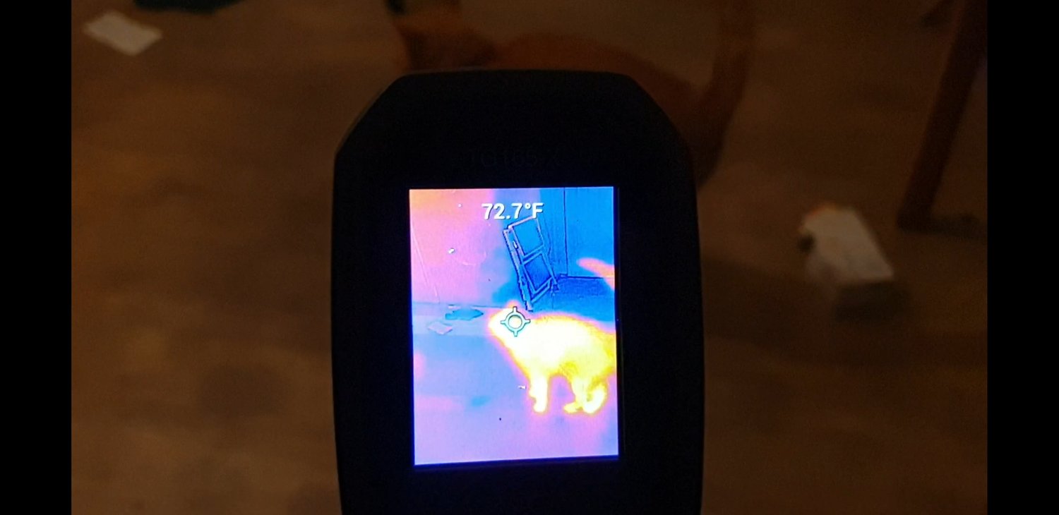 NEWS | Local artist using thermal imaging to help find missing cat in Hereford
