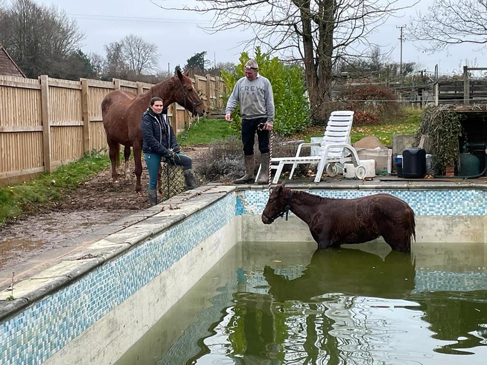 NEWS | Fire crews help to rescue an animal from a swimming pool in Herefordshire
