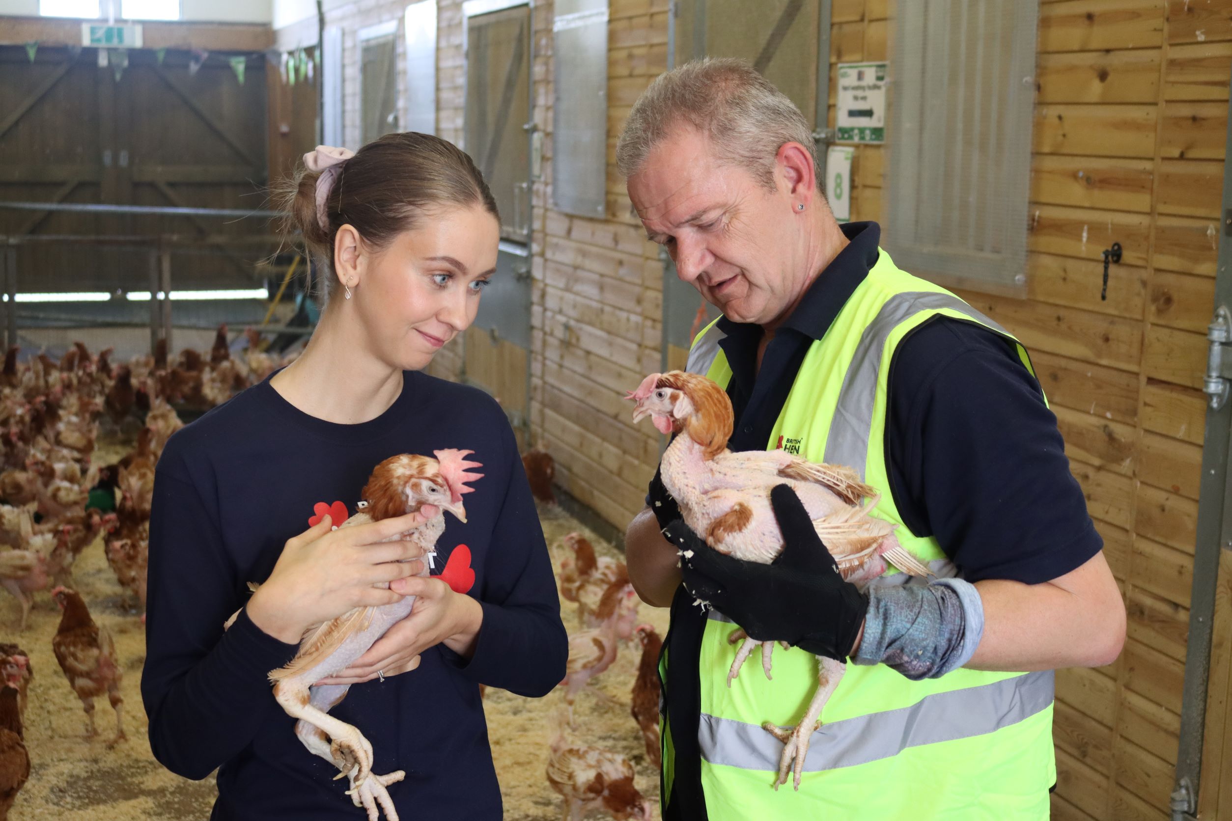 NEWS | Over 1,200 hens were saved from slaughter and adopted in Hereford during 2021
