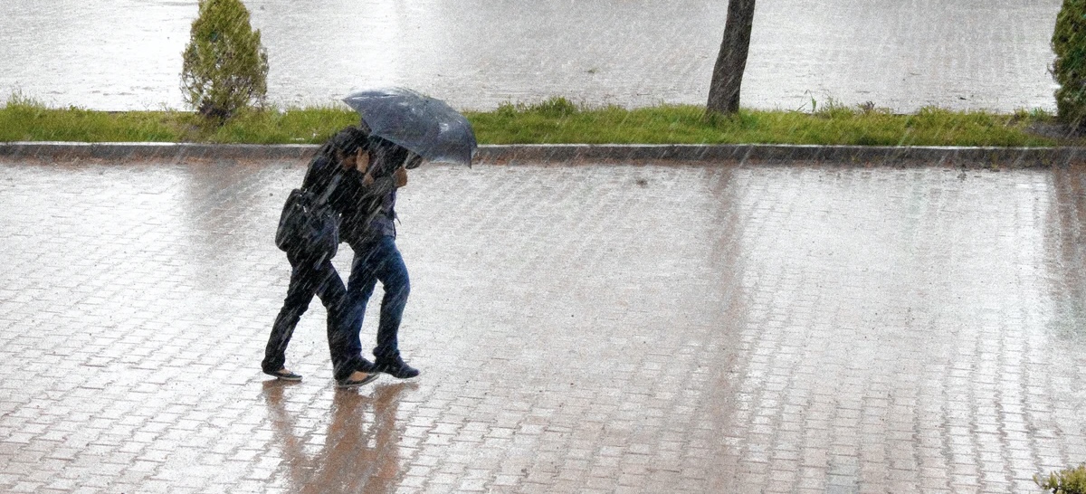 NEWS | Heading out this afternoon? Don’t forget to take an umbrella! Heavy downpours likely