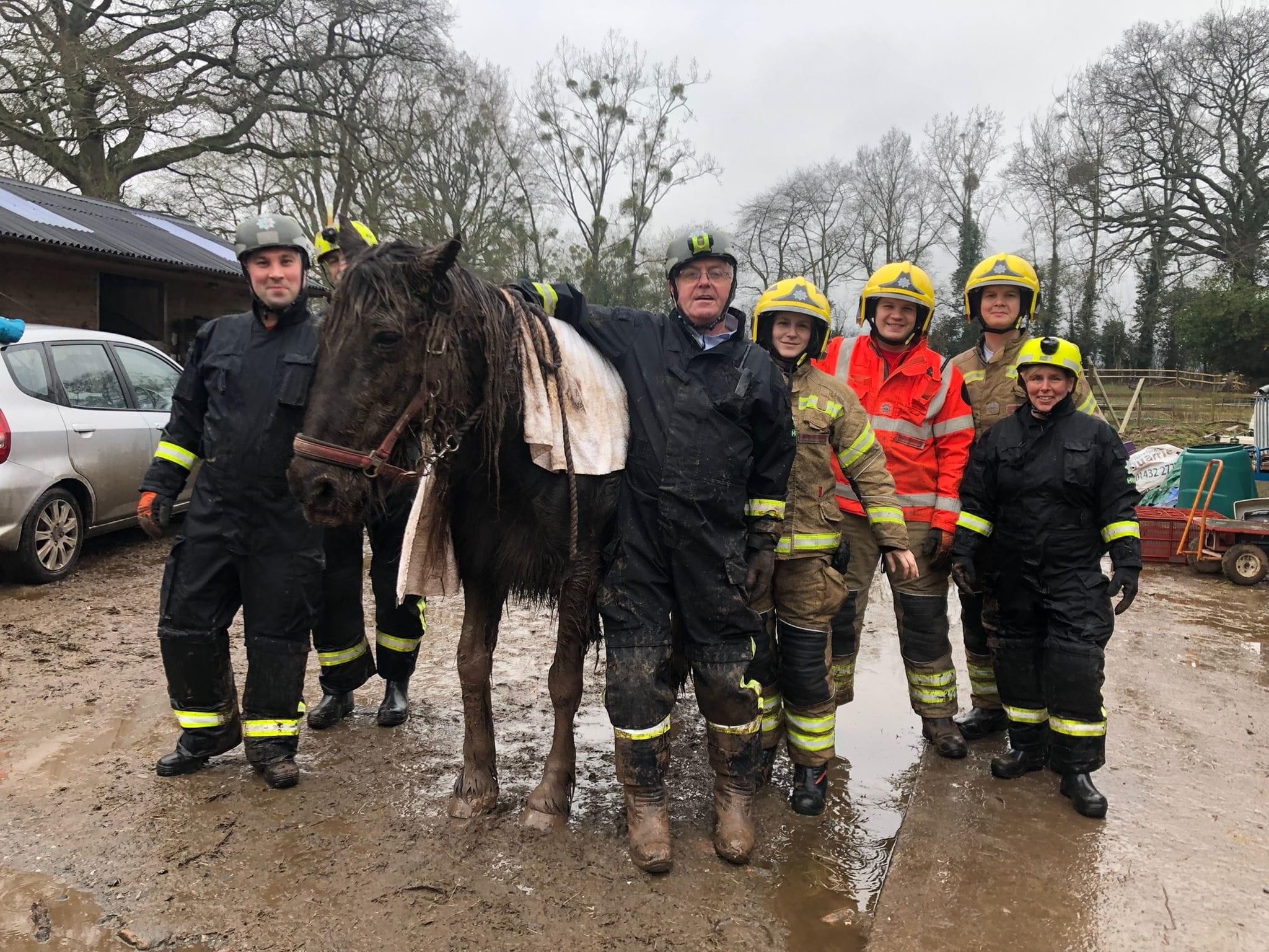 NEWS | Fire crews helped to rescue a 30-year-old horse in Herefordshire this morning