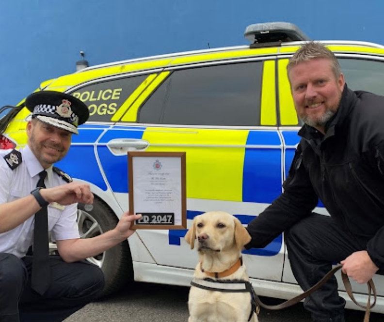 NEWS | Dog who had never been walked on lead is rescued from puppy farm and joins police