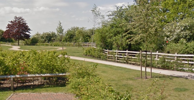 NEWS | 14-year-old boy arrested after reports that a teenage girl was raped at a nature reserve
