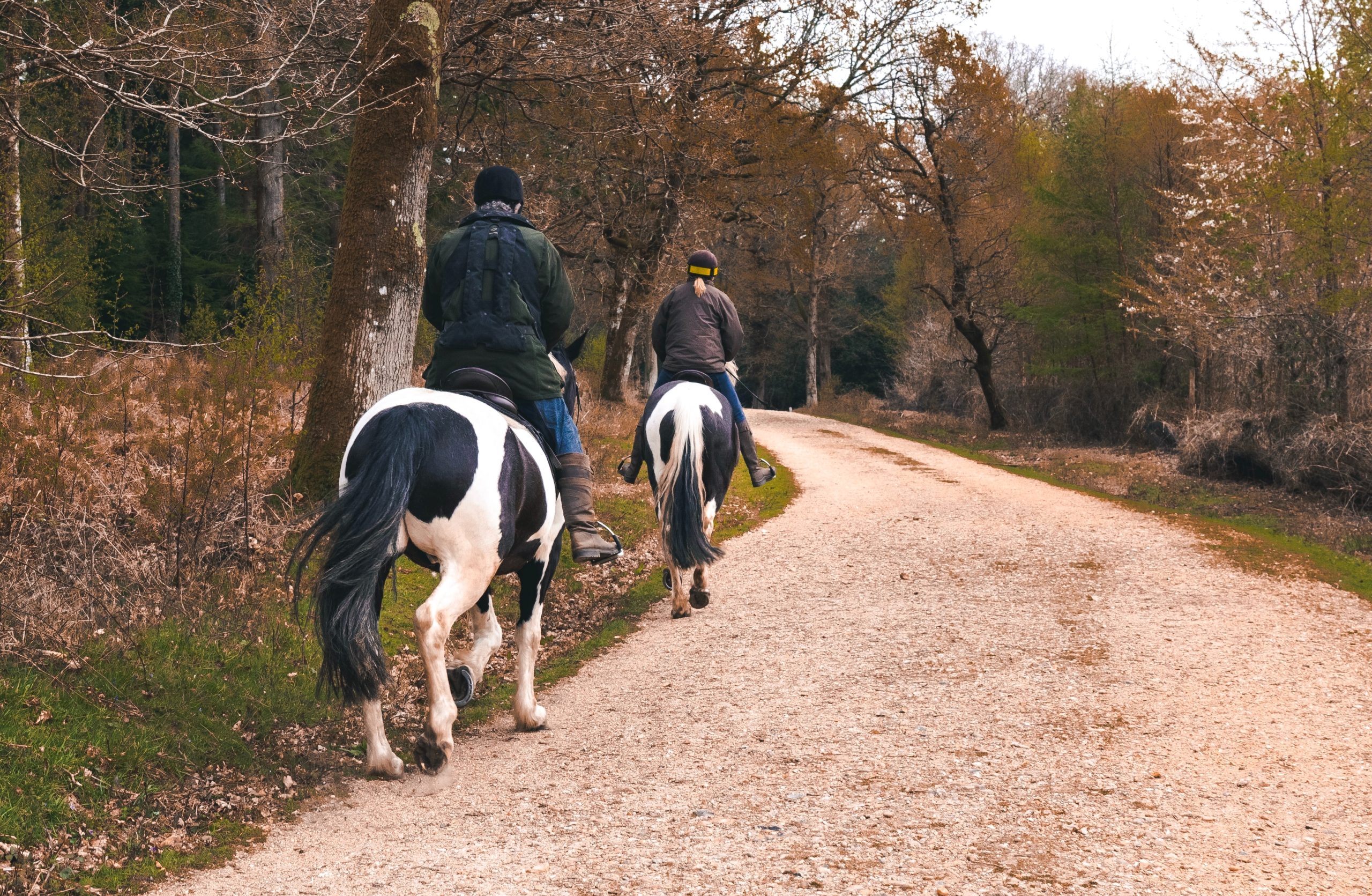 NEWS | Safety of horse riders on the agenda in West Mercia after changes to the Highway Code