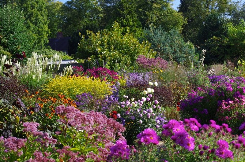 WHAT’S ON? | Three special Herefordshire gardens will be open this Sunday for you to visit with the family