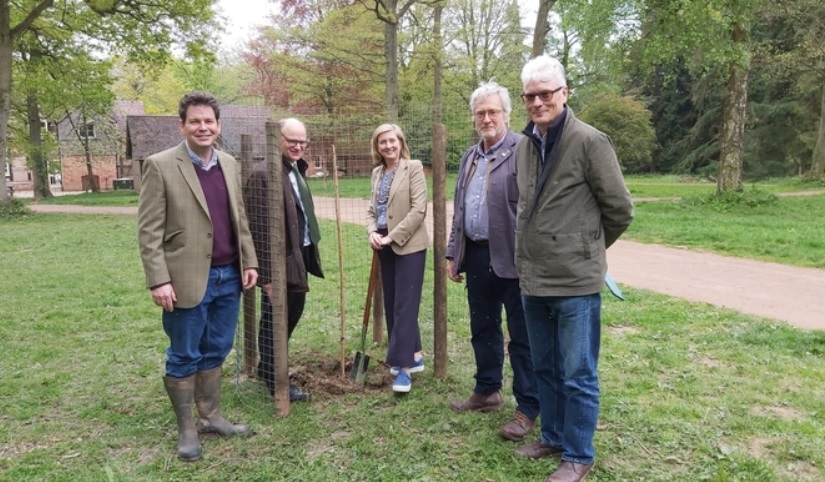 NEWS | A Golden Rain Tree has been planted at Queenswood Arboretum in honour of the Queen’s Jubilee