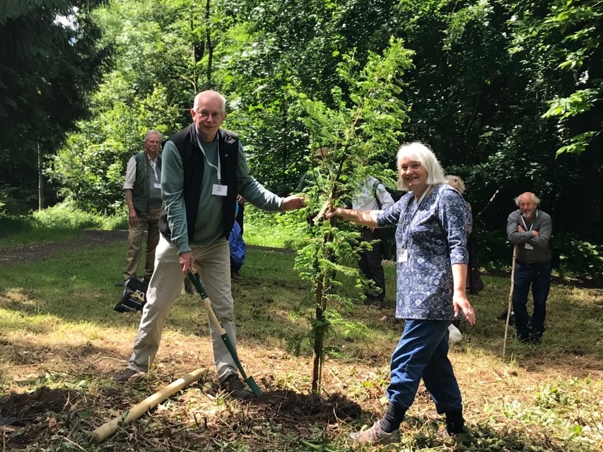 NEWS | Royal Forestry Herefordshire Division plants tree for the Platinum Jubilee