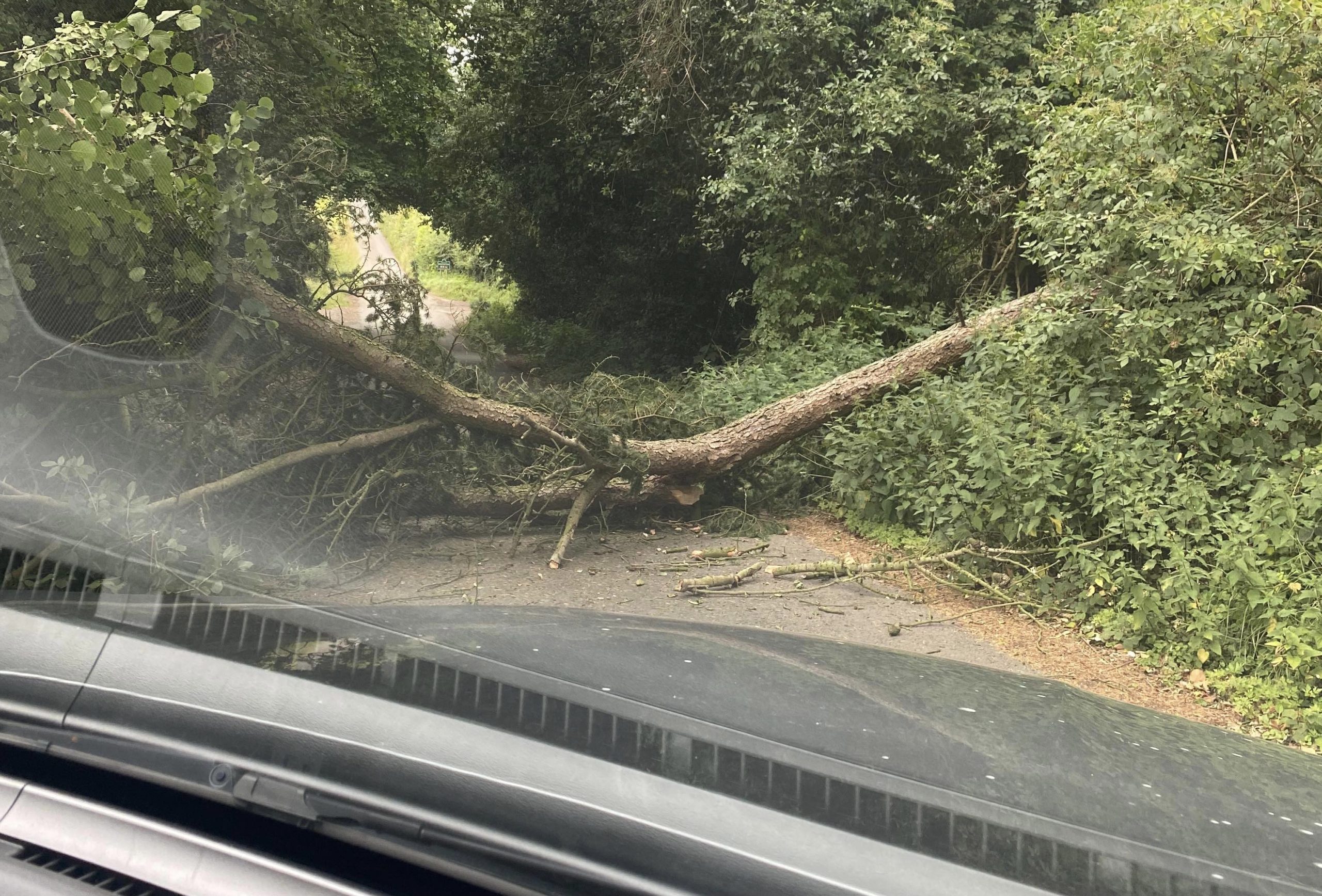 NEWS | A tree is blocking a route near Breinton this morning