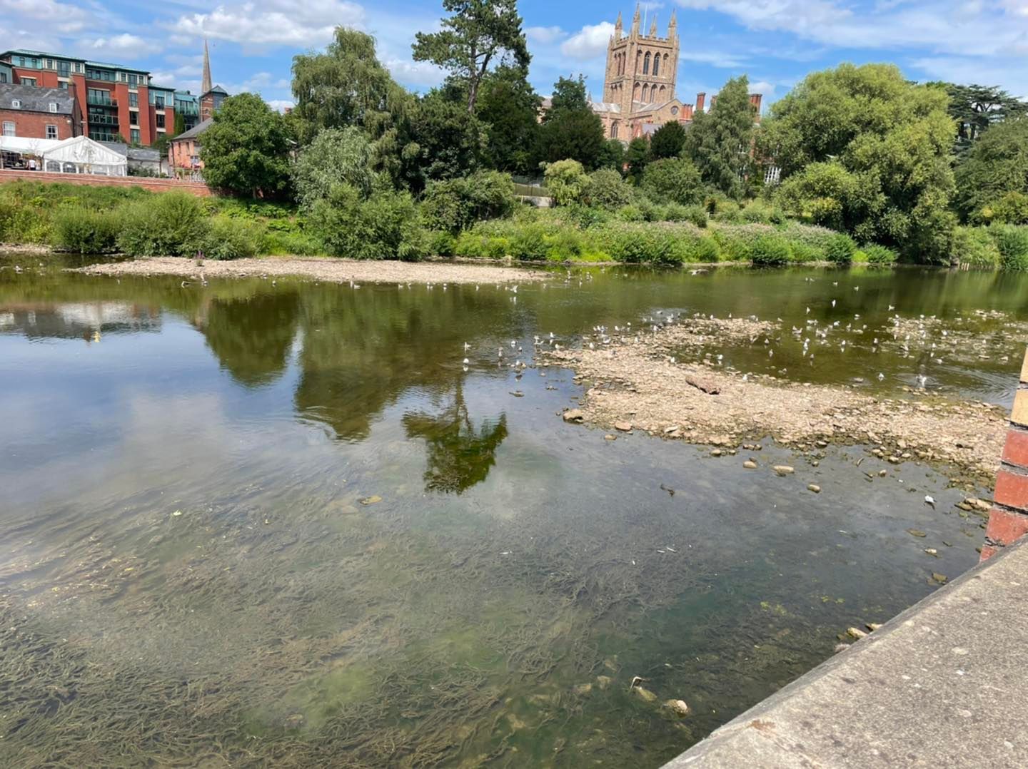 NEWS | Environment Agency explains why River Wye has been put on ‘amber alert’ with further hot weather on the way