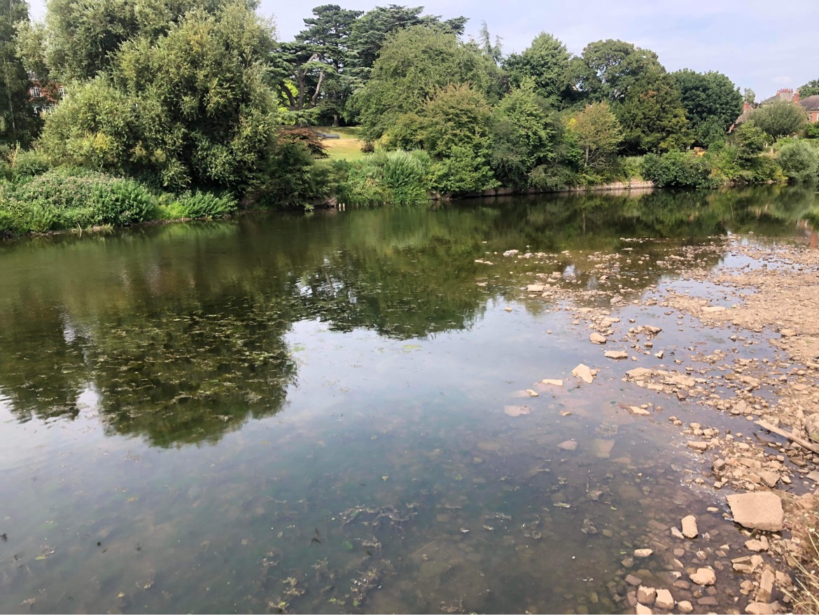 NEWS | Herefordshire Council’s Cabinet approves new commission to restore the Wye and phosphate credits scheme